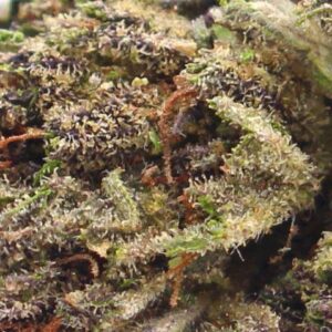 Purple Gas Bath Bombs Candy Shop Cannabis & Kratom 2