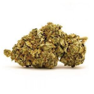 Girl Scout Cookies – Delta 8 / THCO Bath Bombs Candy Shop Cannabis & Kratom